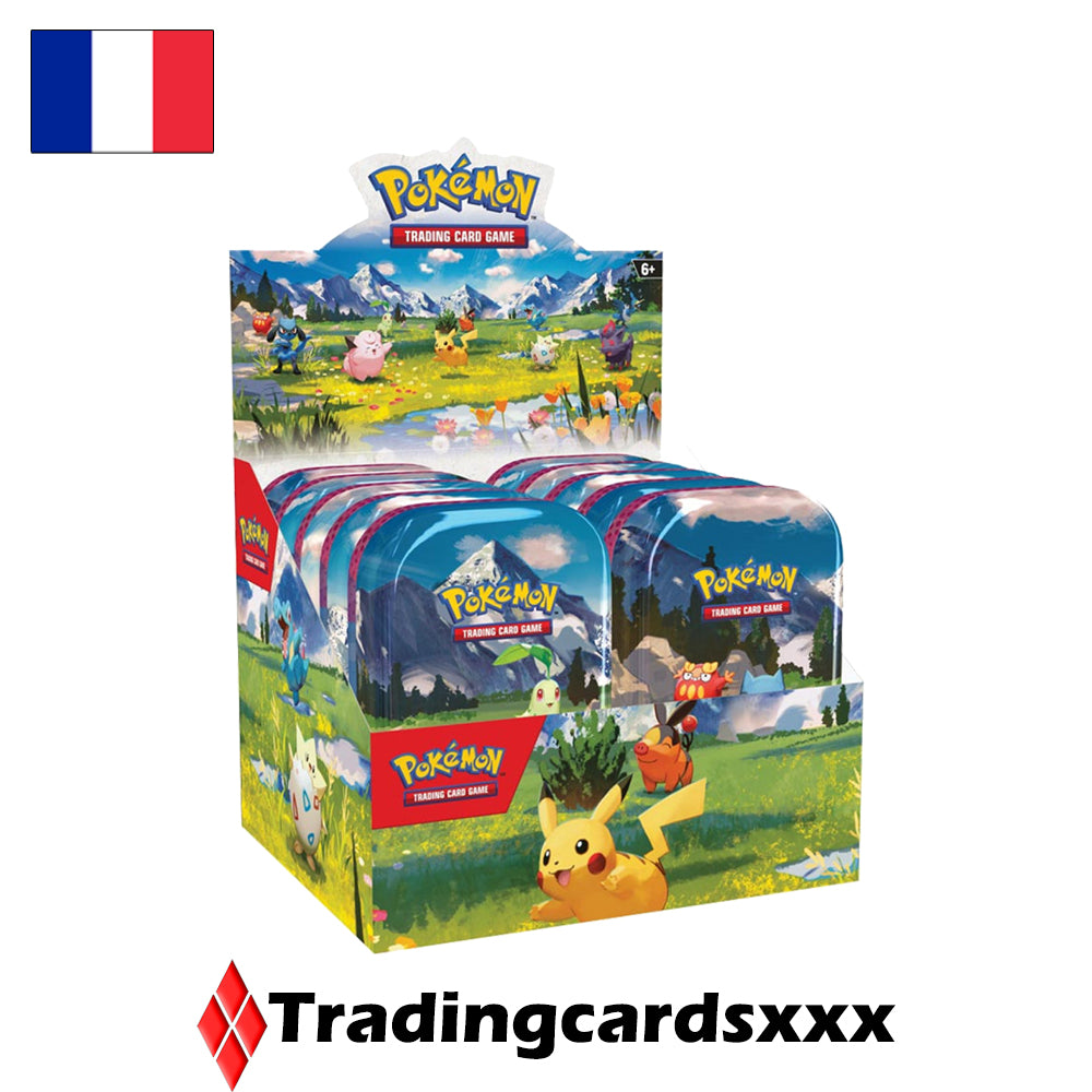 Pokémon - Display de 10 Mini Tin ME02.5 : Héros Transcendants