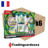 Pokémon - Carton de 6 Coffrets Collection Premium Novembre 2024 : Ogerpon ex