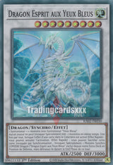 Yu-Gi-Oh! Dragon Esprit aux Yeux Bleus : RA02-FR030