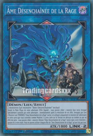 Yu-Gi-Oh! Âme Désenchaînée de la Rage : RA02-FR041
