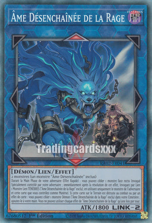 Yu-Gi-Oh! Âme Désenchaînée de la Rage : RA02-FR041