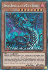 Yu-Gi-Oh! Dragon Flamberge de l'Œil de Serpent : RA03-FR033