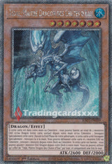 Yu-Gi-Oh! Tidal, Maître Dragon des Chutes d'Eau : RA03-FR009