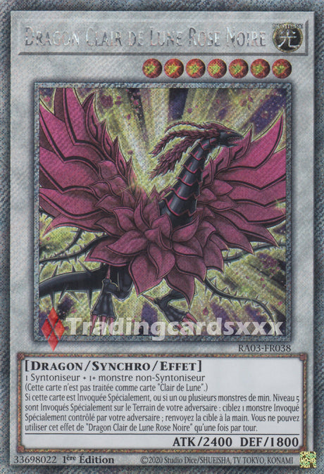 Yu-Gi-Oh! Dragon Clair de Lune Rose Noire : RA03-FR038