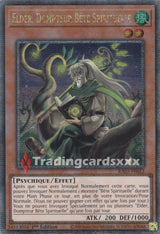 Yu-Gi-Oh! Elder, Dompteur Bête Spirituelle : RA03-FR012