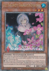 Yu-Gi-Oh! Fille Fantôme et Cornouiller Effrayant : RA03-FR020