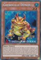 Yu-Gi-Oh! Grenouille Démon : RA03-FR005