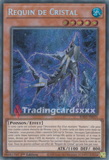 Yu-Gi-Oh! Requin de Cristal : RA03-FR031