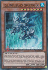 Yu-Gi-Oh! Tidal, Maître Dragon des Chutes d'Eau : RA03-FR009