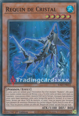 Yu-Gi-Oh! Requin de Cristal : RA03-FR031