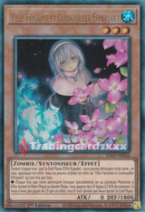 Yu-Gi-Oh! Fille Fantôme et Cornouiller Effrayant : RA03-FR020