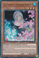 Yu-Gi-Oh! Fille Fantôme et Cornouiller Effrayant : RA03-FR020