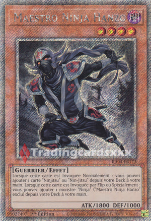Yu-Gi-Oh! Maestro Ninja Hanzo : PS RA04-FR173