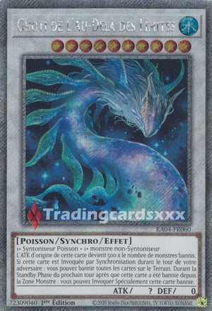 Yu-Gi-Oh! Ghoti de l'Au-Delà des Limites : RA04-FR060