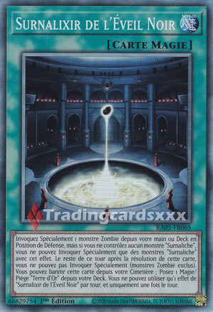 Yu-Gi-Oh! Surnalixir de l'Éveil Noir : CR RA05-FR065