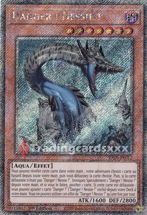 Yu-Gi-Oh! Danger ! Nessie ! : PS RA05-FR012