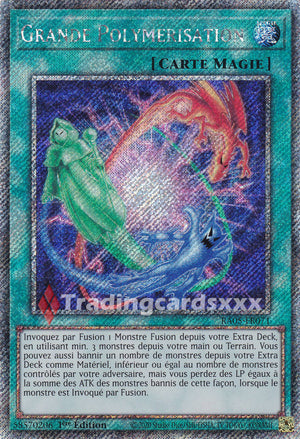 Yu-Gi-Oh! Grande Polymérisation : PS RA05-FR071