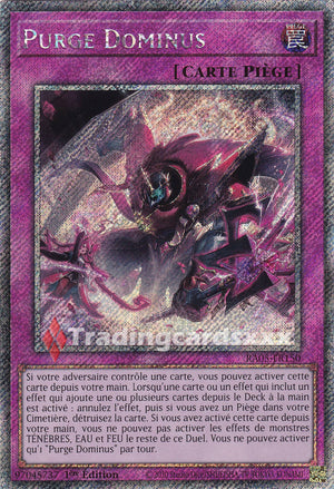Yu-Gi-Oh! Purge Dominus : PS RA05-FR150