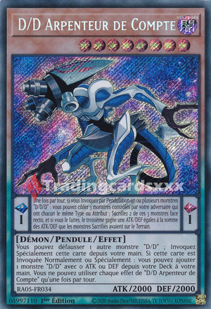 Yu-Gi-Oh! D/D Arpenteur de Compte : SE RA05-FR034