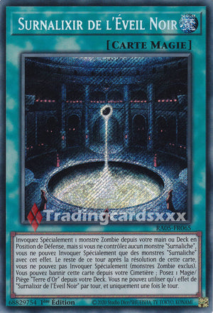 Yu-Gi-Oh! Surnalixir de l'Éveil Noir : SE RA05-FR065