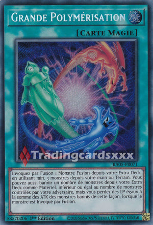 Yu-Gi-Oh! Grande Polymérisation : SE RA05-FR071