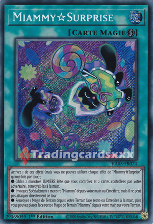 Yu-Gi-Oh! Miammy?Surprise : SE RA05-FR074