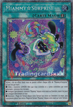 Yu-Gi-Oh! Miammy?Surprise : STAR RA05-FR074
