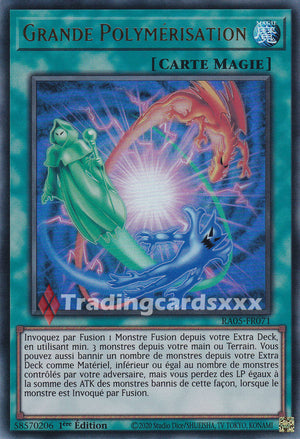 Yu-Gi-Oh! Grande Polymérisation : UR RA05-FR071