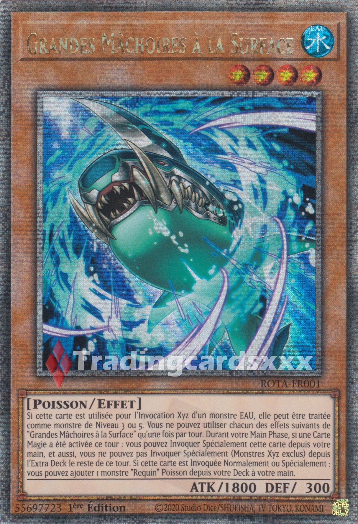 Yu-Gi-Oh! Grandes Mâchoires à la Surface : QCSE ROTA-FR001