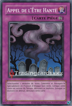 Yu-Gi-Oh! Appel de l'Être Hanté : C RP02-FR006