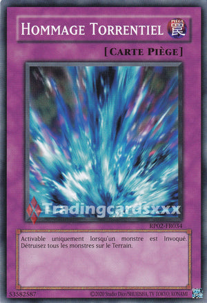 Yu-Gi-Oh! Hommage Torrentiel : C RP02-FR034