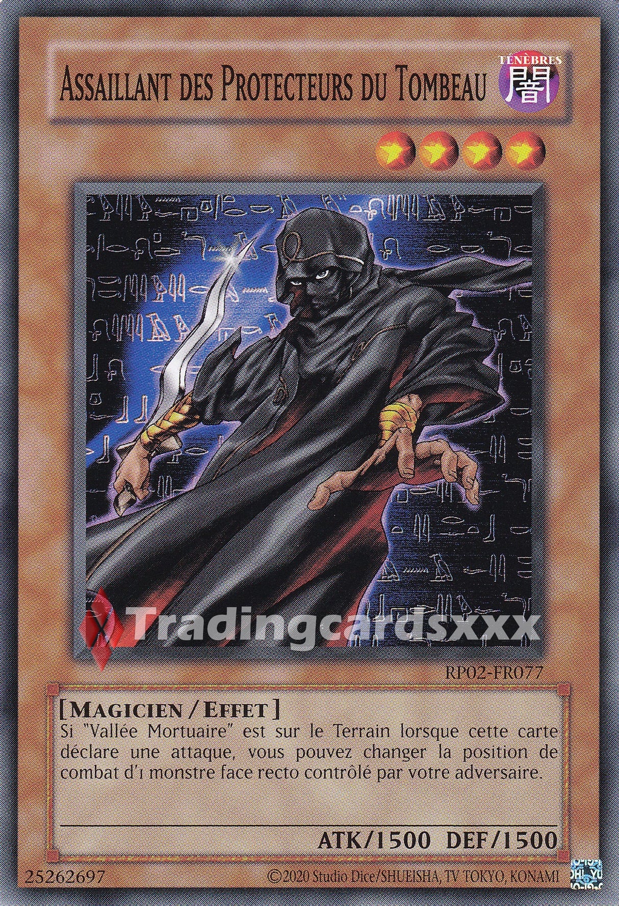 Yu-Gi-Oh! Assaillant des Protecteurs du Tombeau : C RP02-FR077