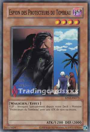 Yu-Gi-Oh! Espion des Protecteurs du Tombeau : C RP02-FR075